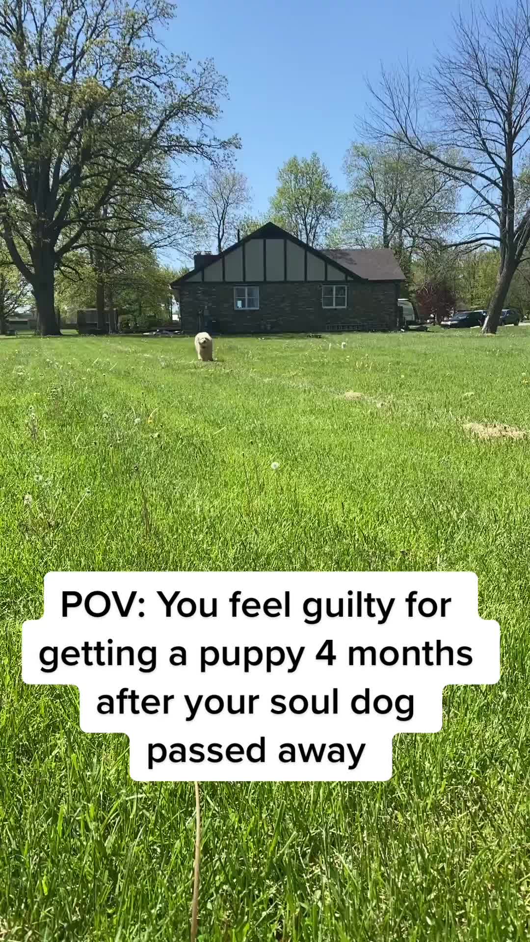 @Jo&lu