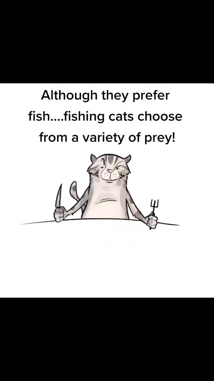 @Fishing Cat Conserv. Alliance