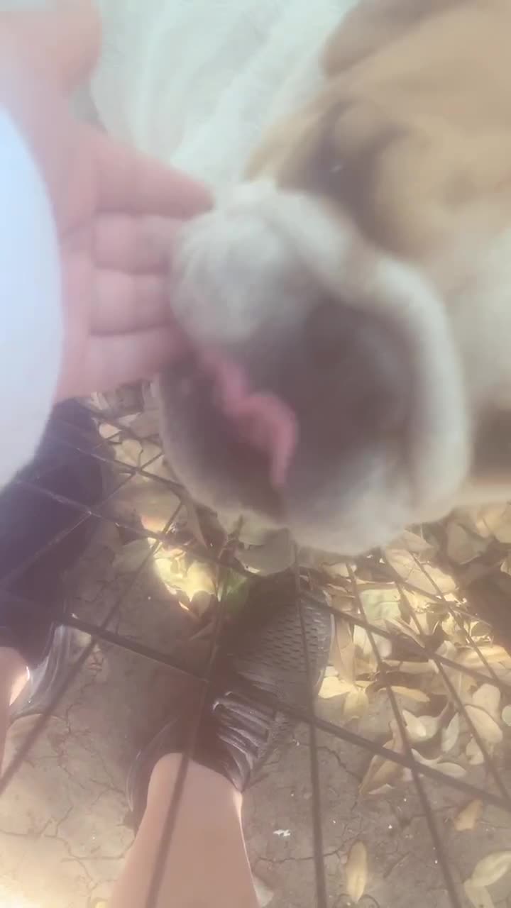 @Miley 🐾🥺❤️