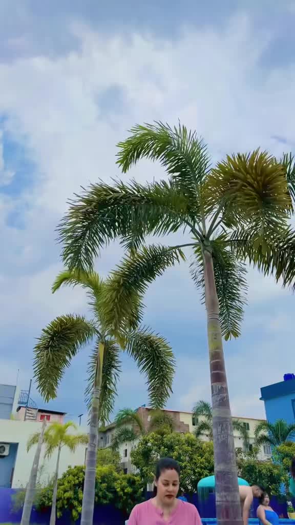 @Bishnughimire