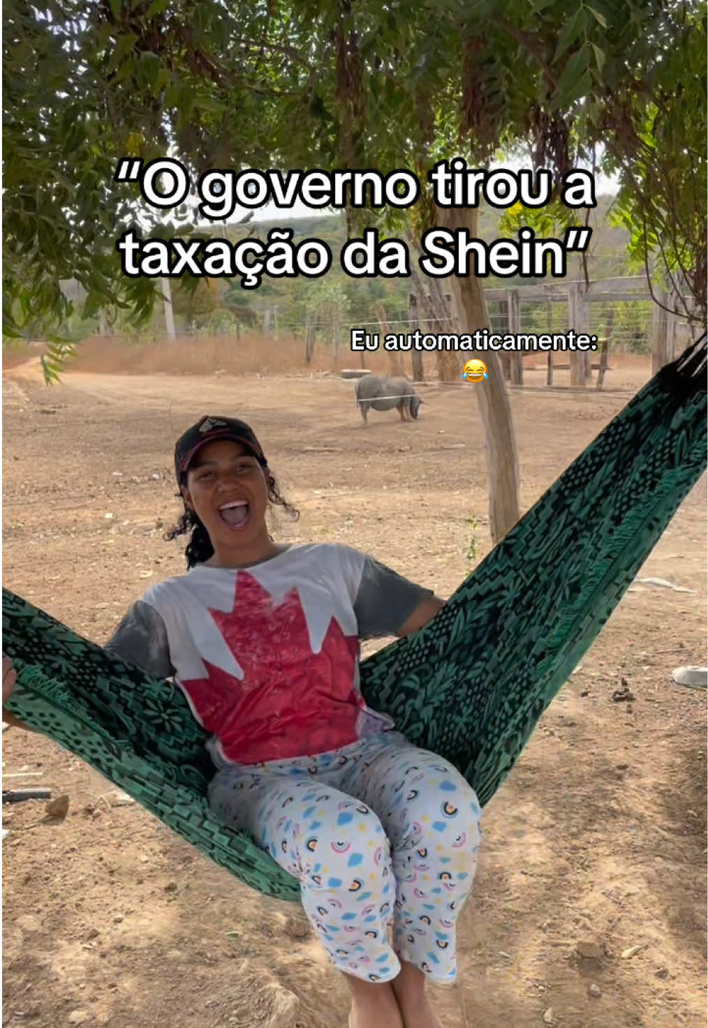@monicadejatoba