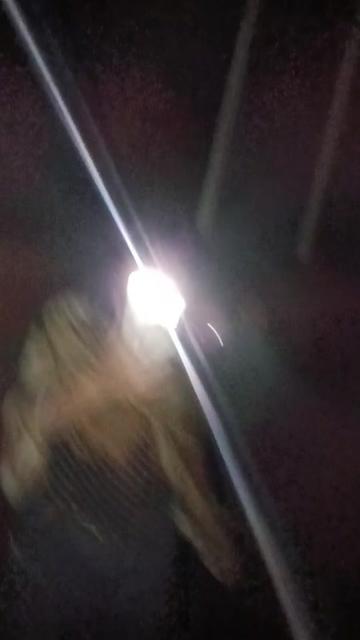 @★•°Рэйчел°•★