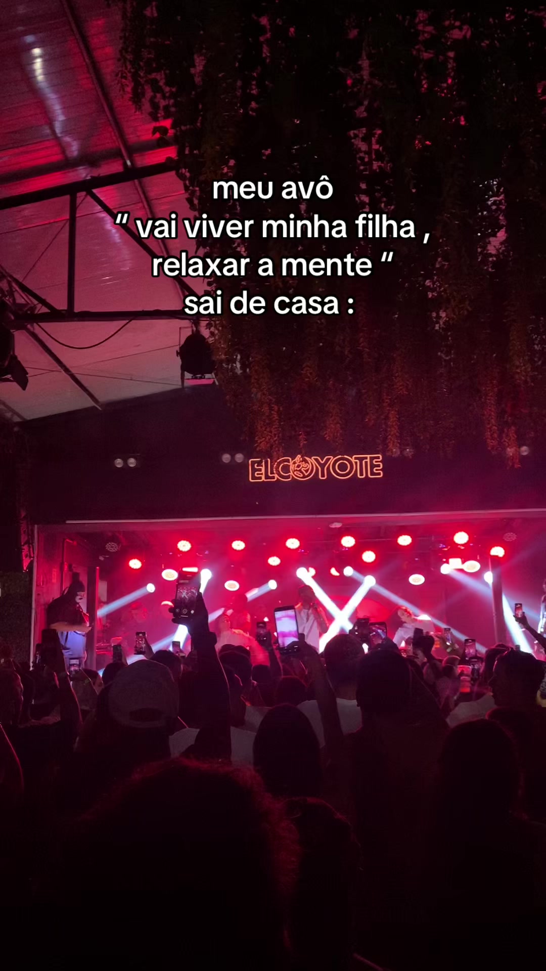 @vih martins