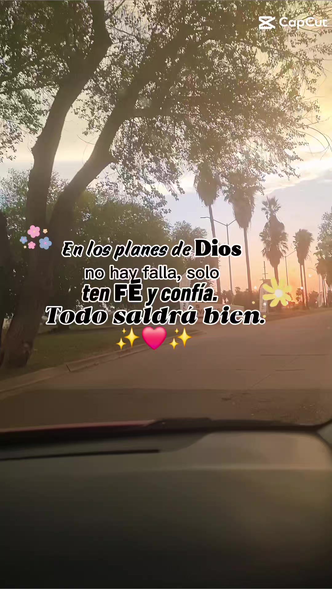 @devisdelosmochis