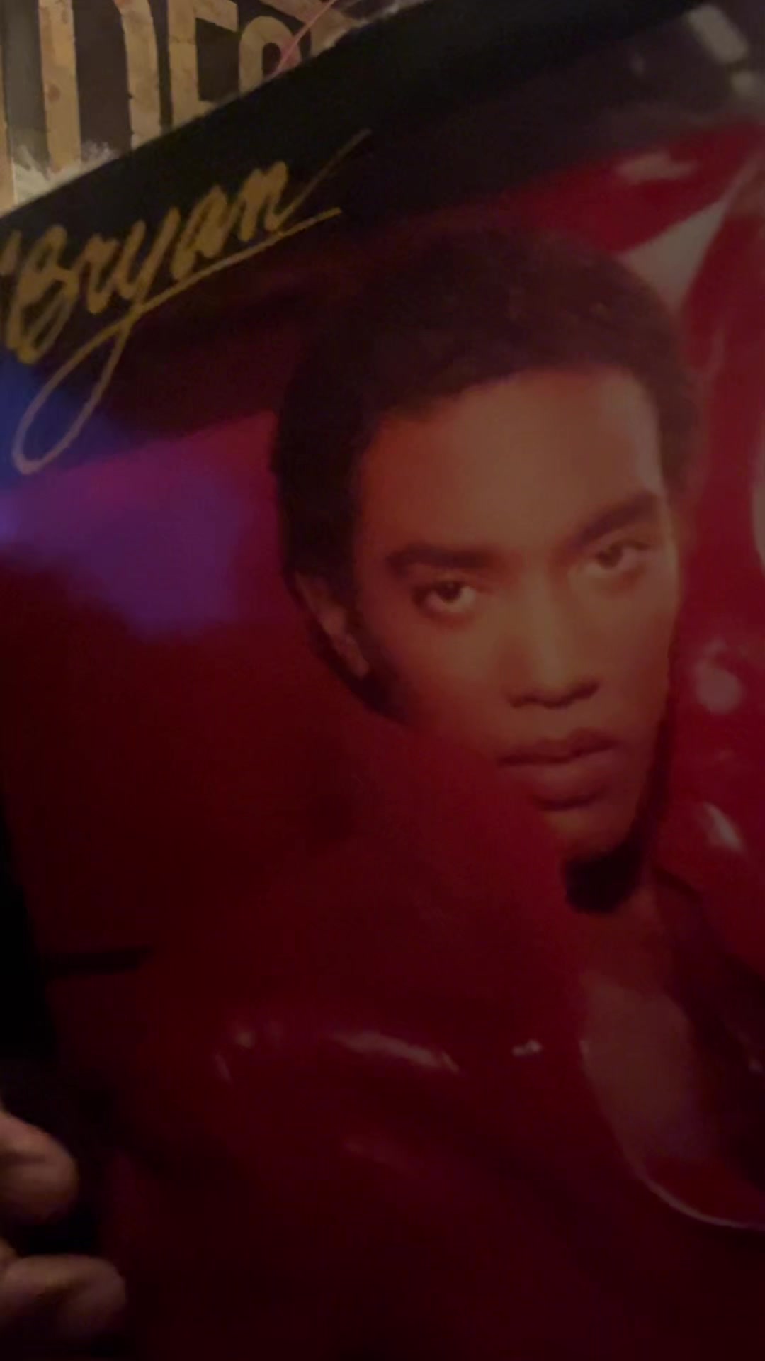@The Vinylist