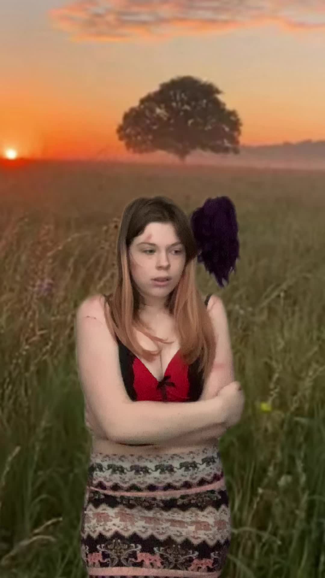 @Kitten