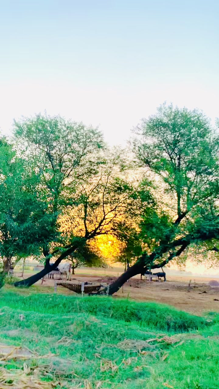 @nazam_joiya🇰🇬❤️🩹