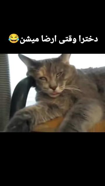 @𝐌𝐨𝐫𝐩𝐡𝐢𝐧𝐞💊