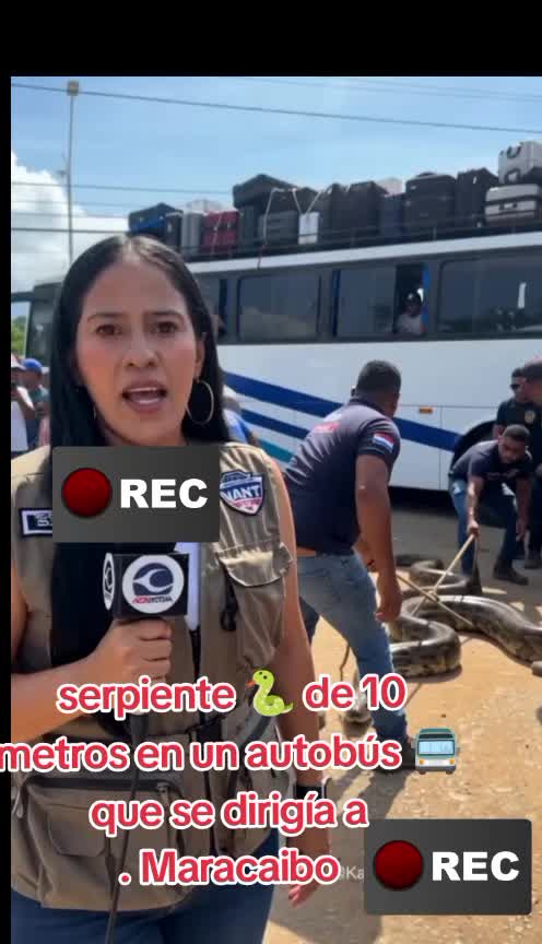 @Katiuska Zea Oficial