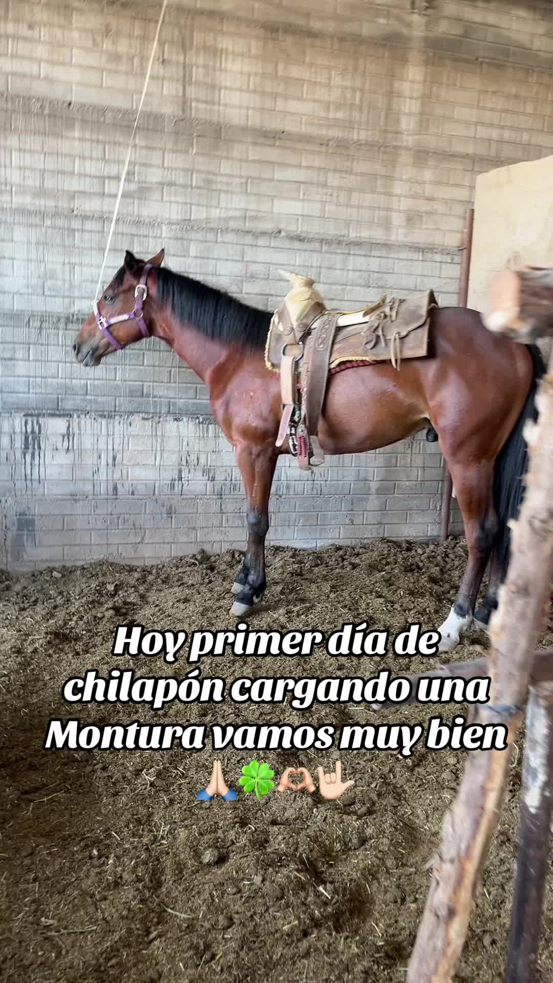 @Samuel S&aacute;nchez el sammy 😈😈👻