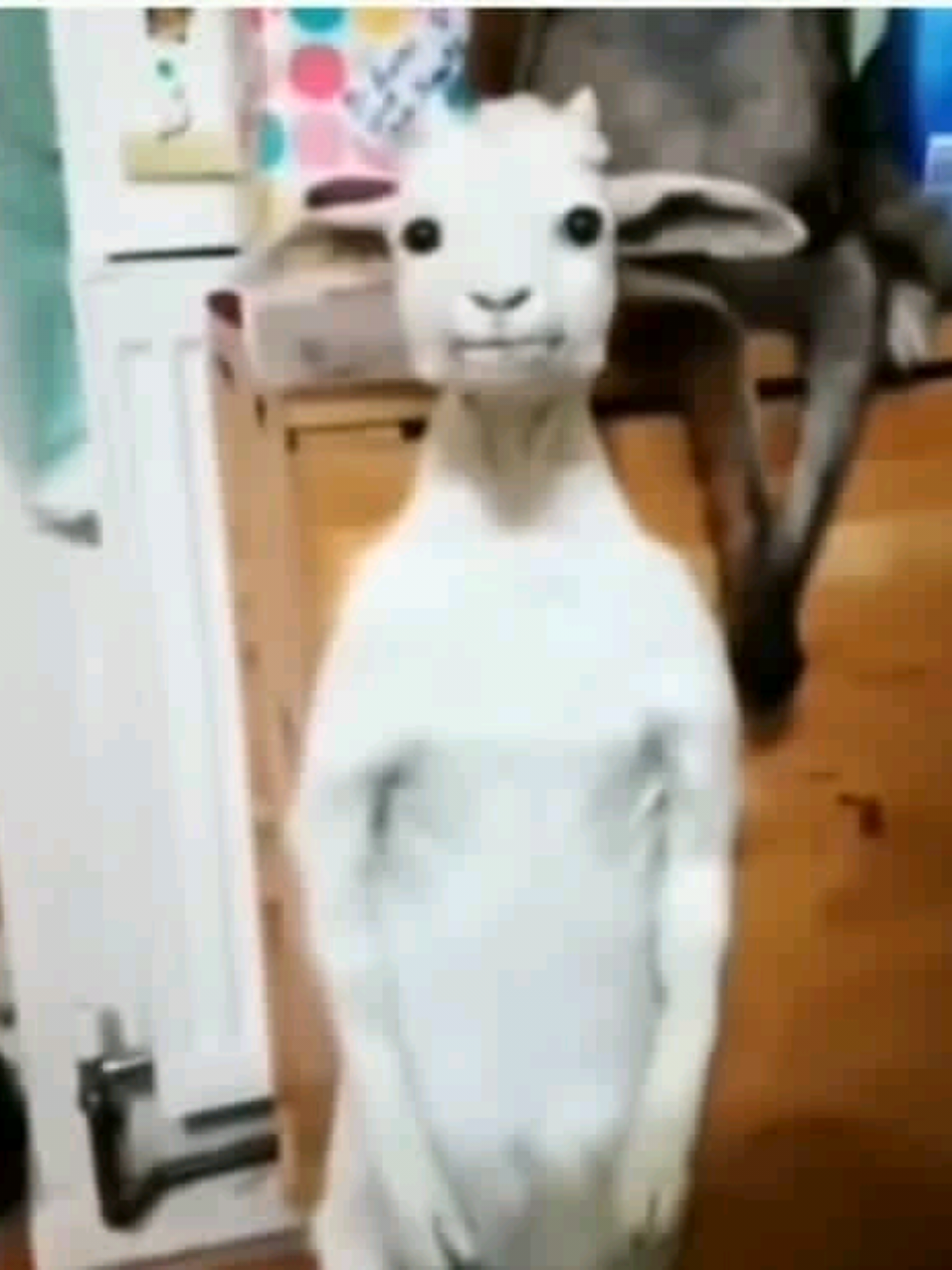 @⋆𝓥𝓮𝓻𝓲𝓽𝓸 ⋆