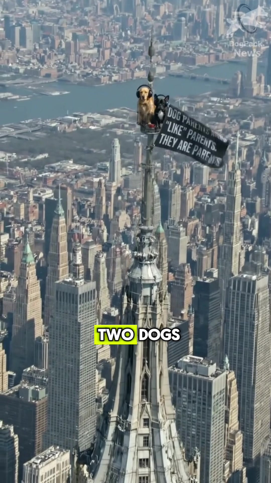 @DogPack