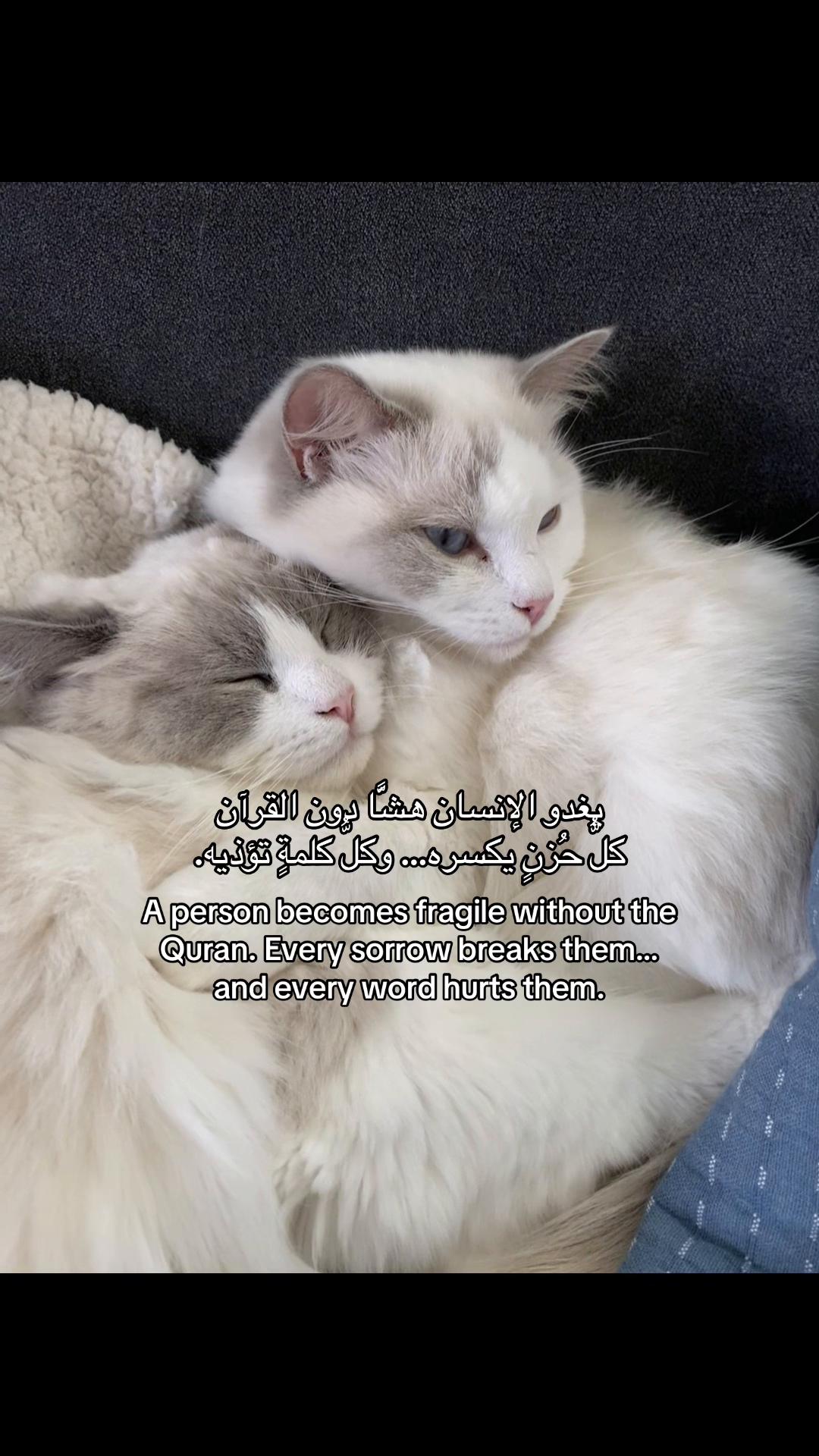 @فيها خير