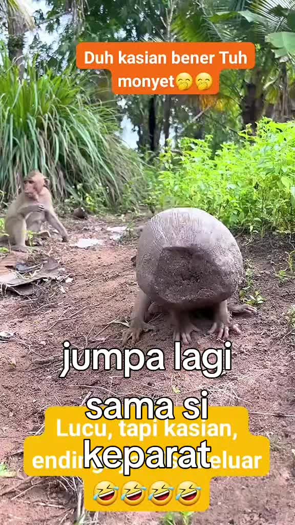 @arulalfan8