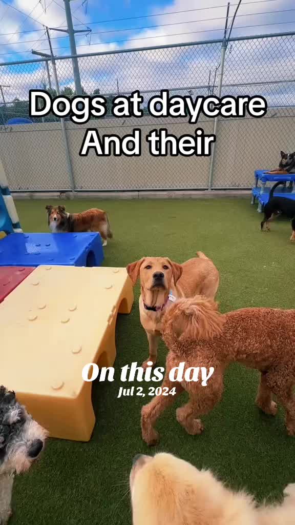 @Canine College