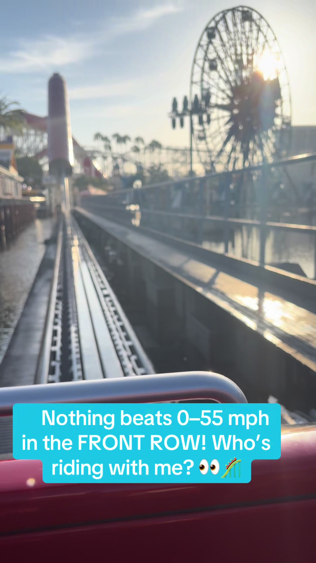 @tinarosethemeparklife