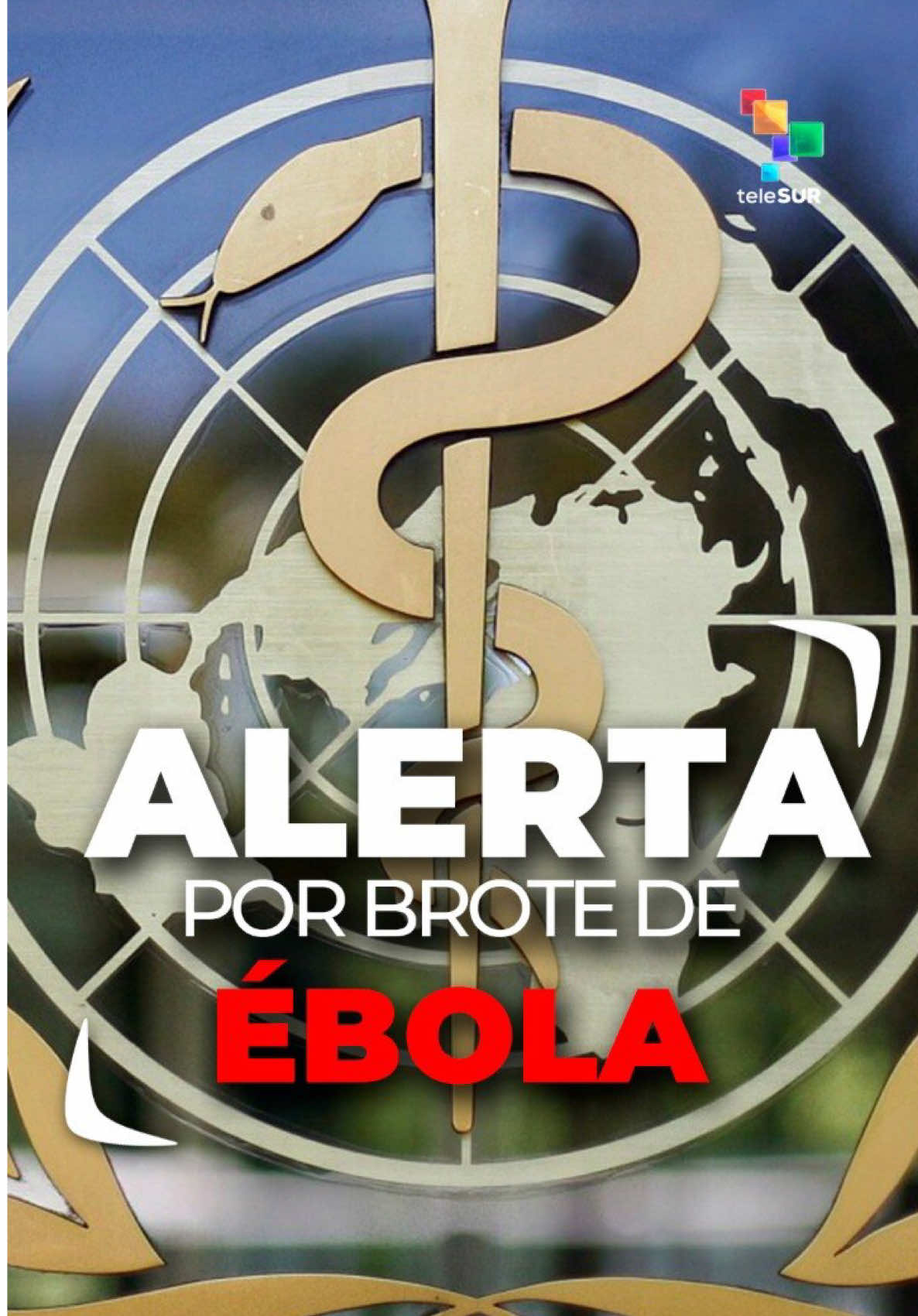 @teleSUR