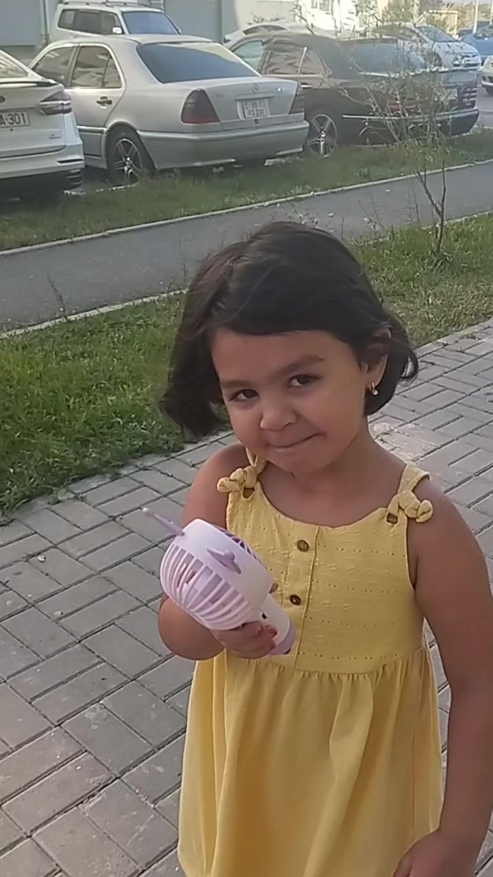 @seide şixeli