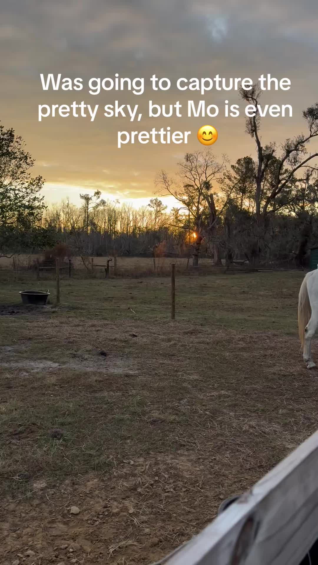 @Kelley Farms