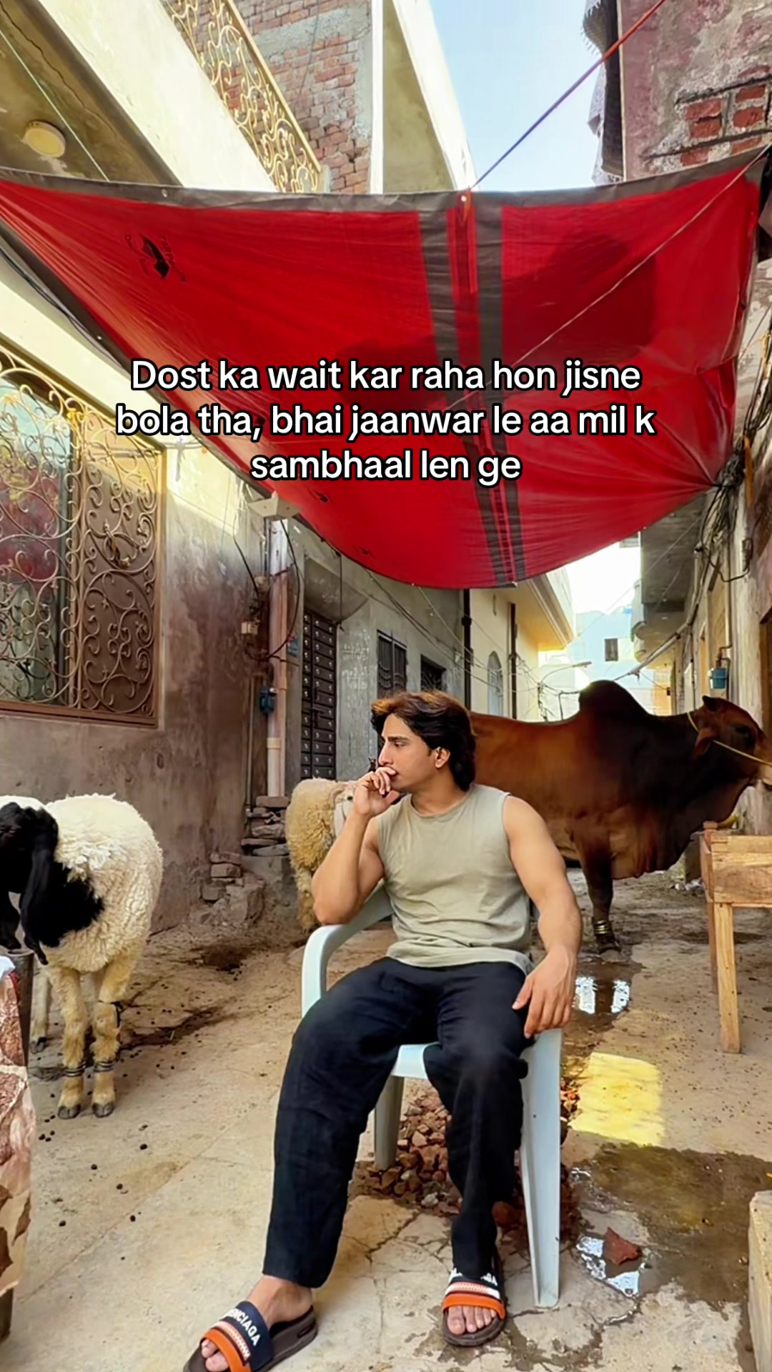 @Dani Shah