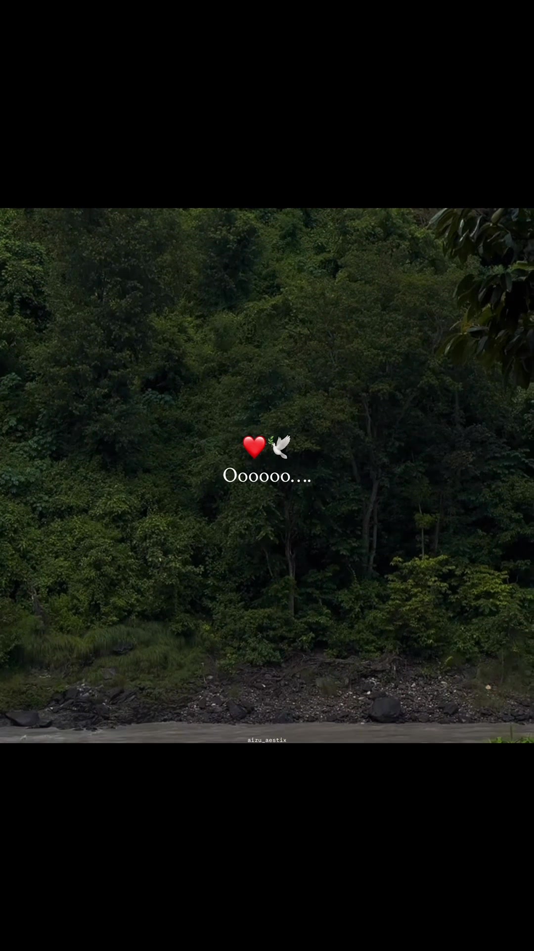 @𝘼 𝙄 𝙕 𝘼 𝙕 &bull; 🐼🍁