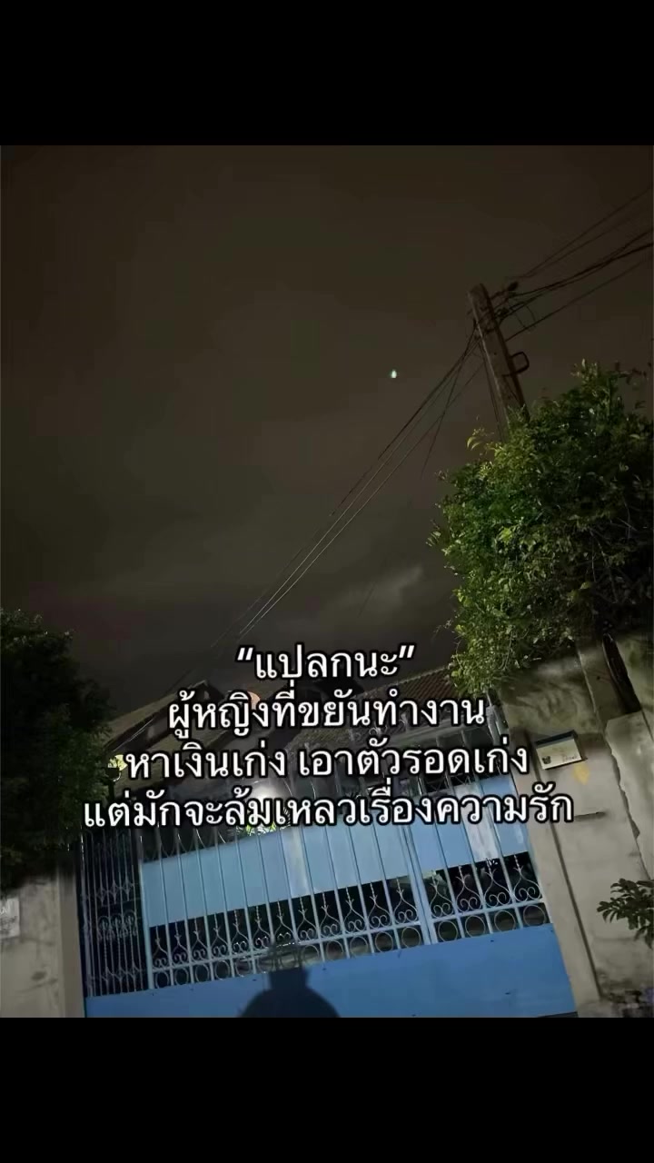 @👉🩷ผักบุ้ง🩷👈[82.3k]✅