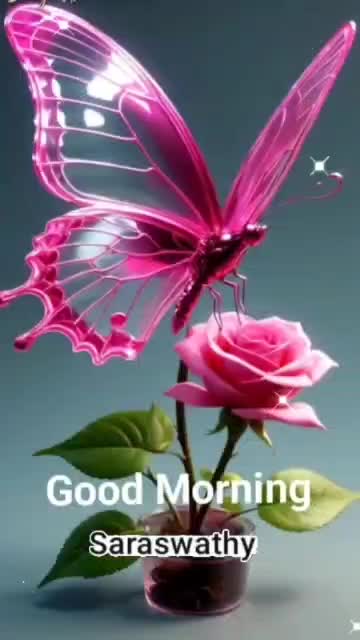 @Saraswathy k