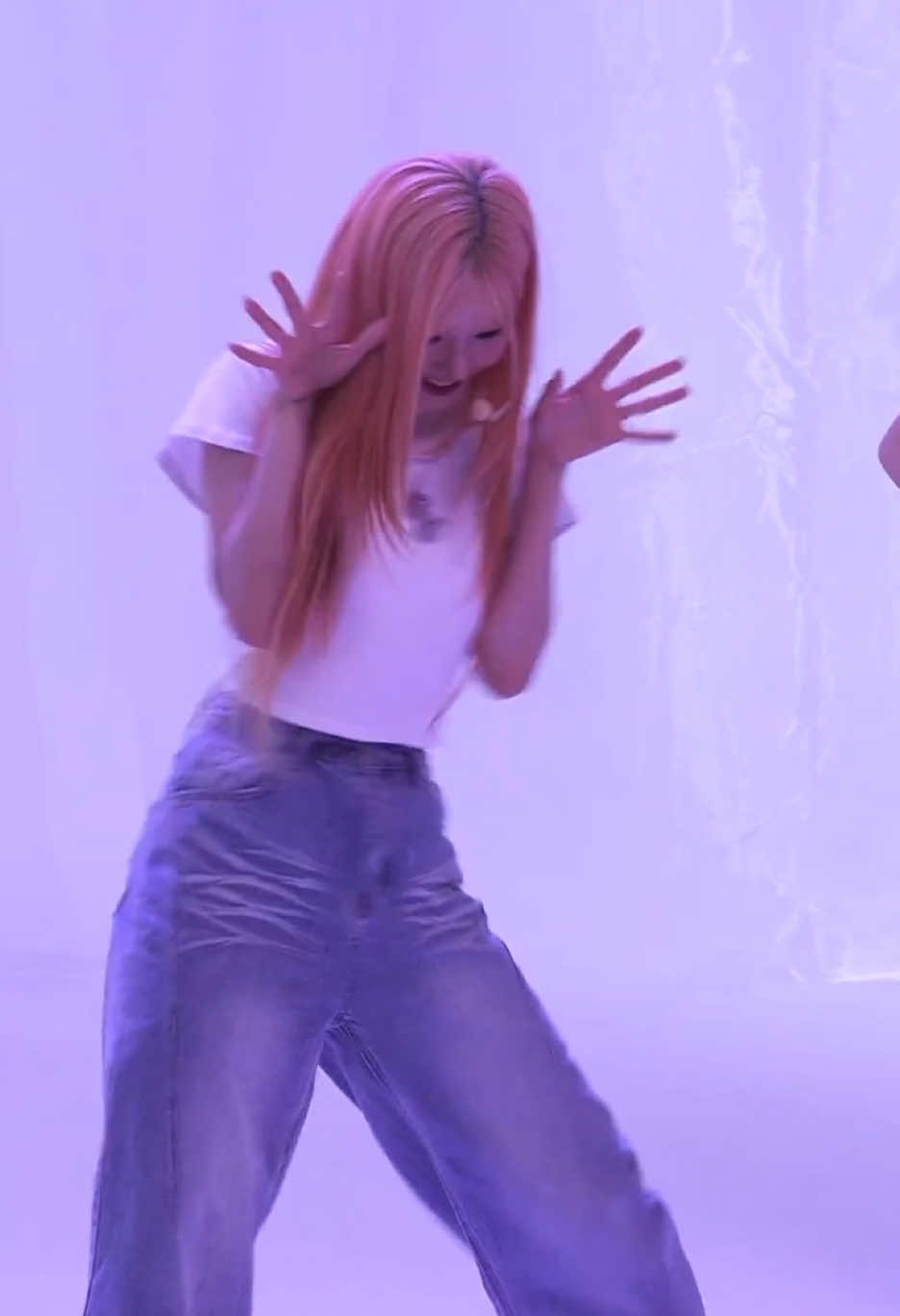 @sicpuppy