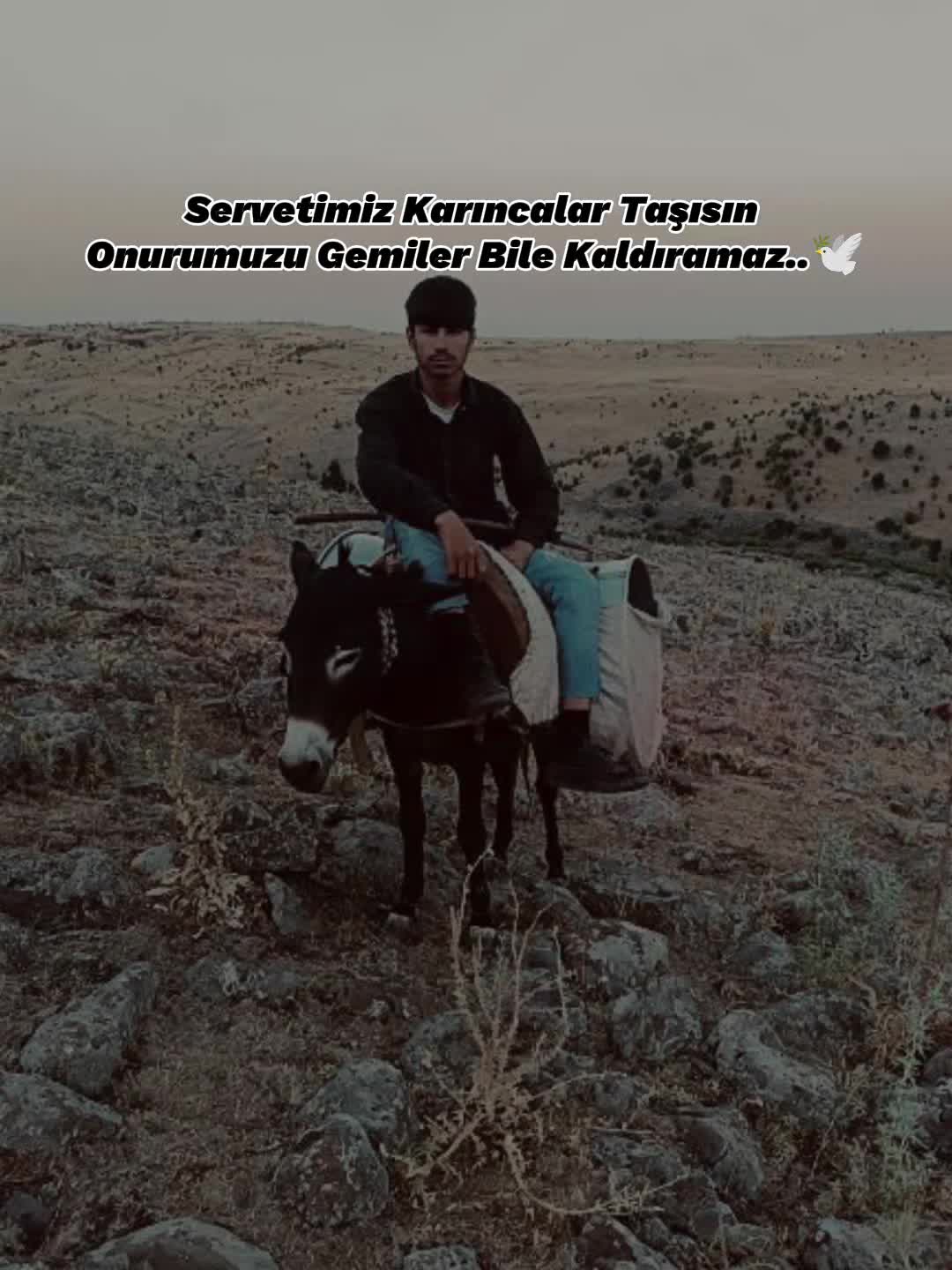 @Süleyman21 🐊🐊