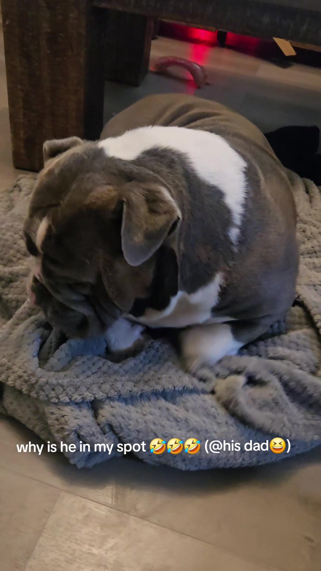 @napiers'aebaddiethebadbitch
