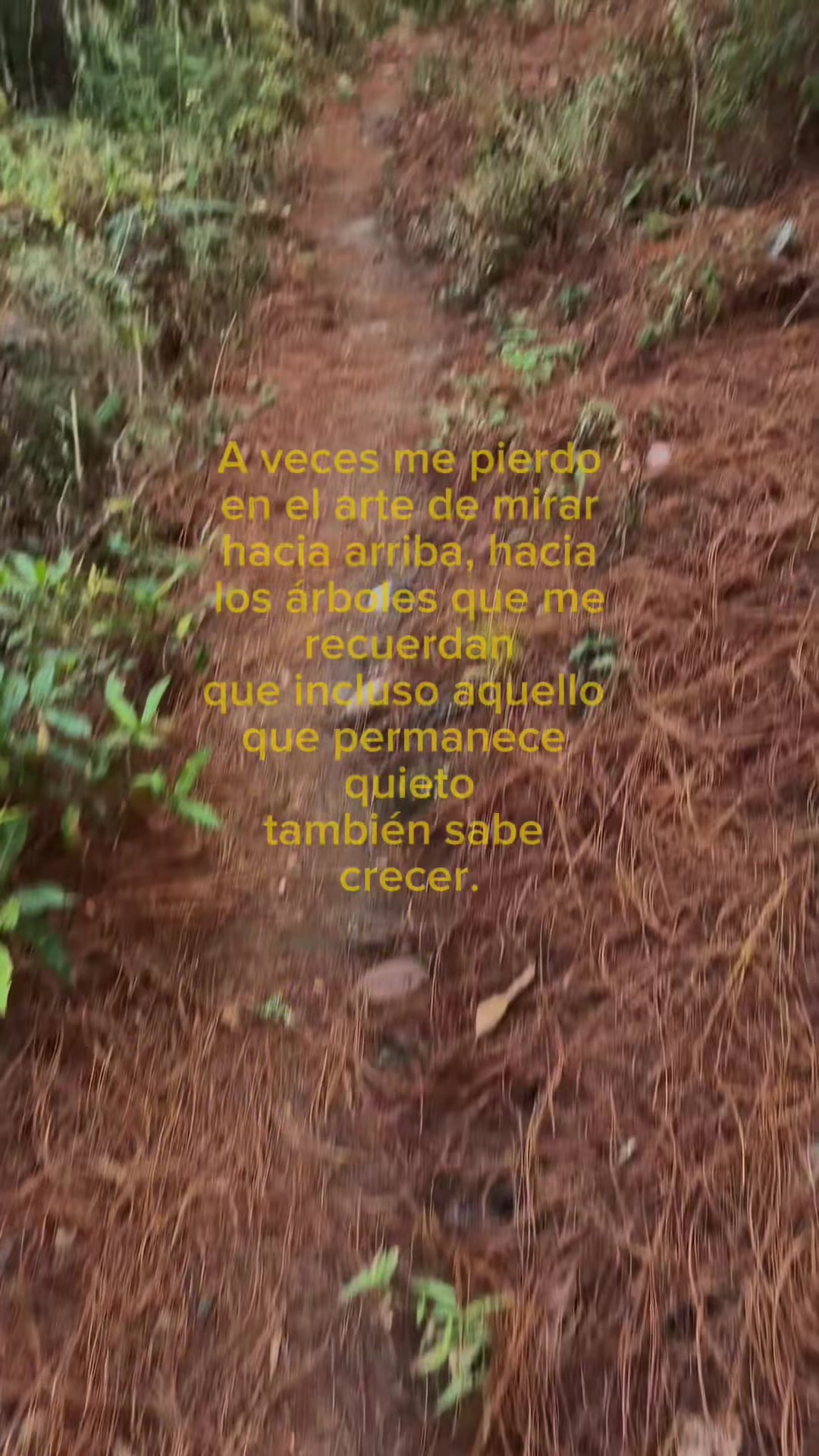 @Dafnee