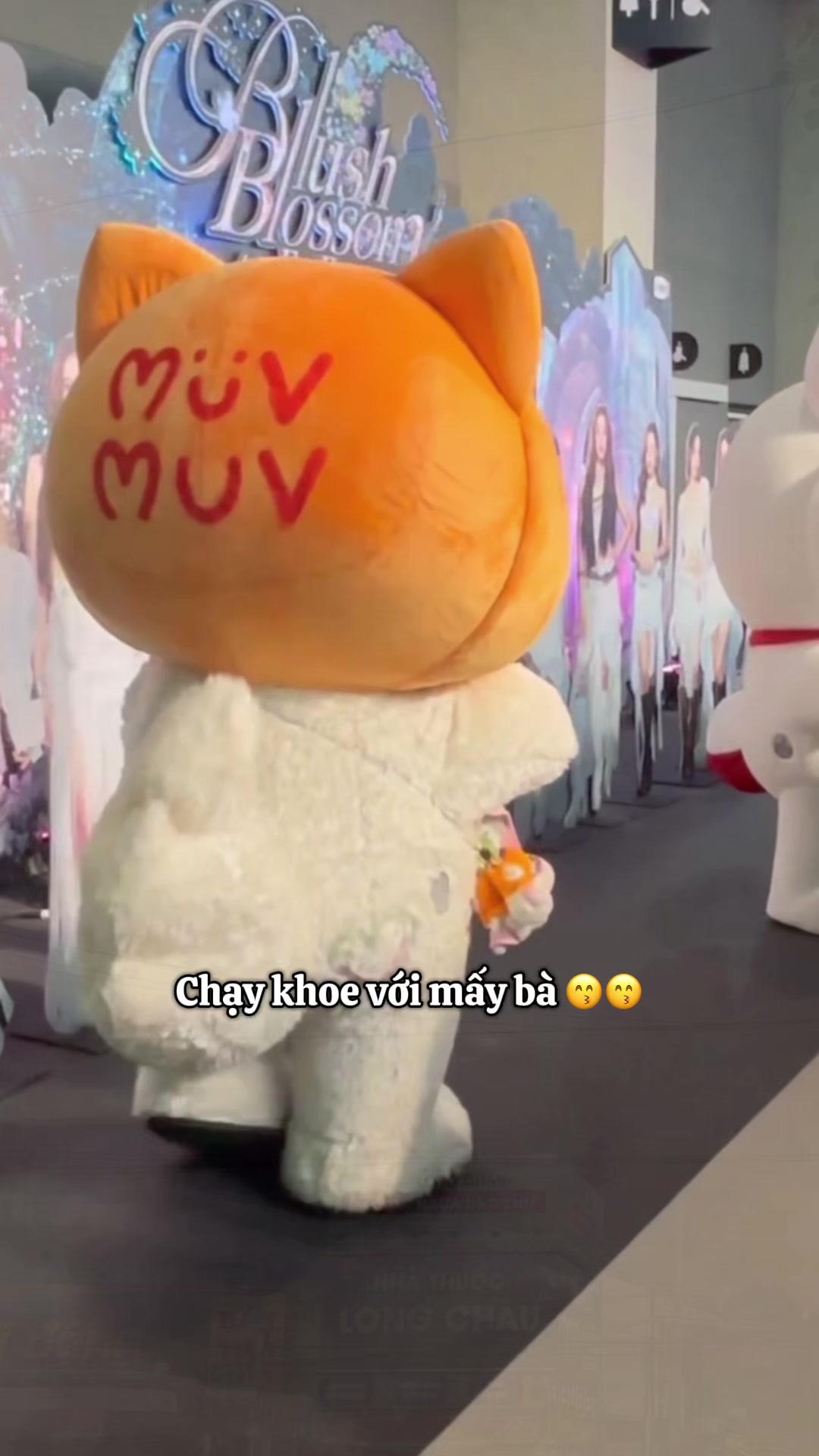 @Mjj