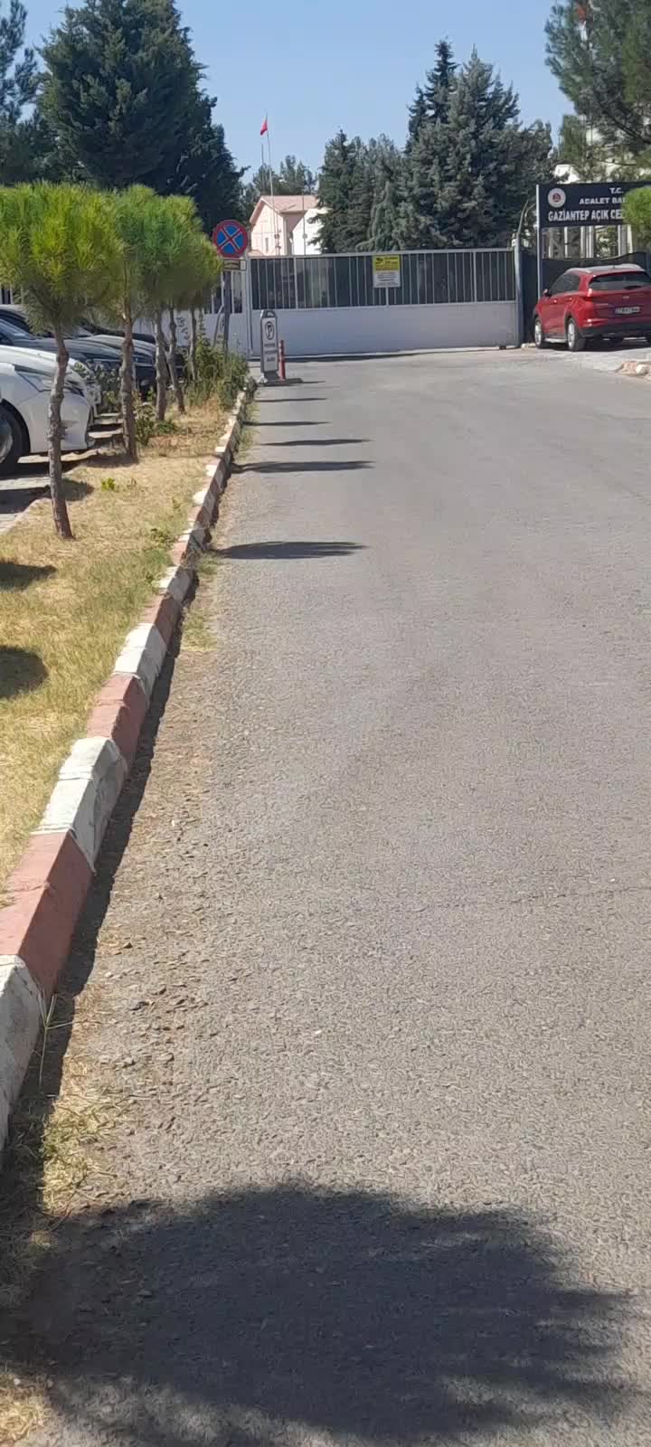 @Ferya Şanlı