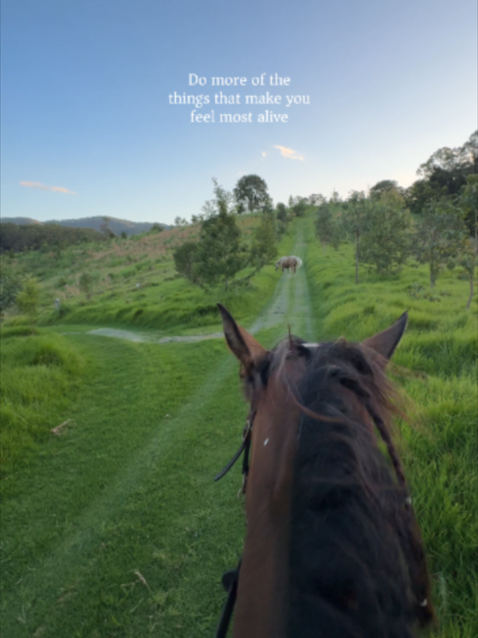 @Myhorsewillow