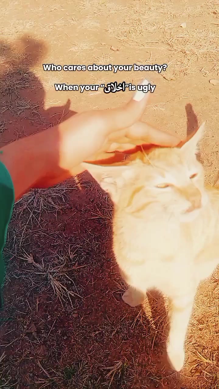 @shamzakhurram20