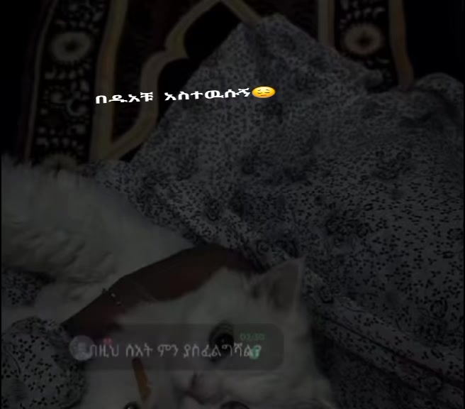 @One deyโ๐ฆ แขแแธ แ แแ
๐โจ๐ซ