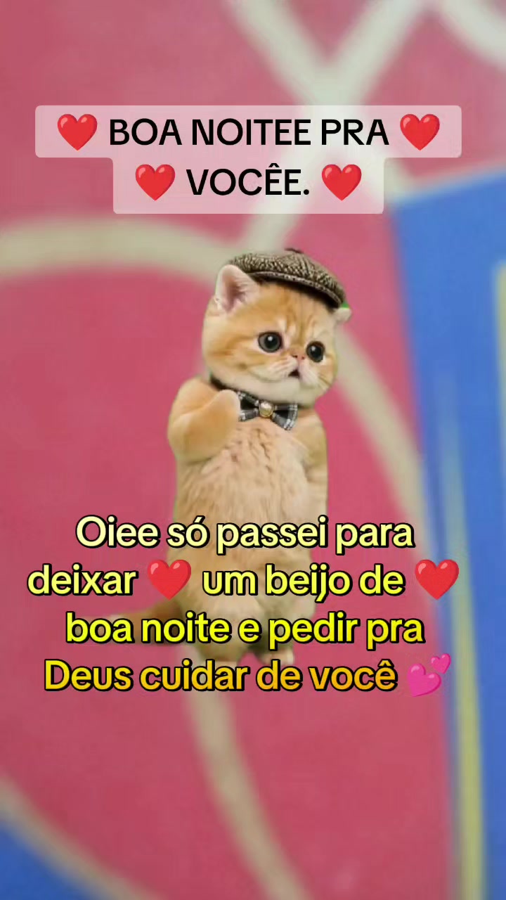@girassol🌻