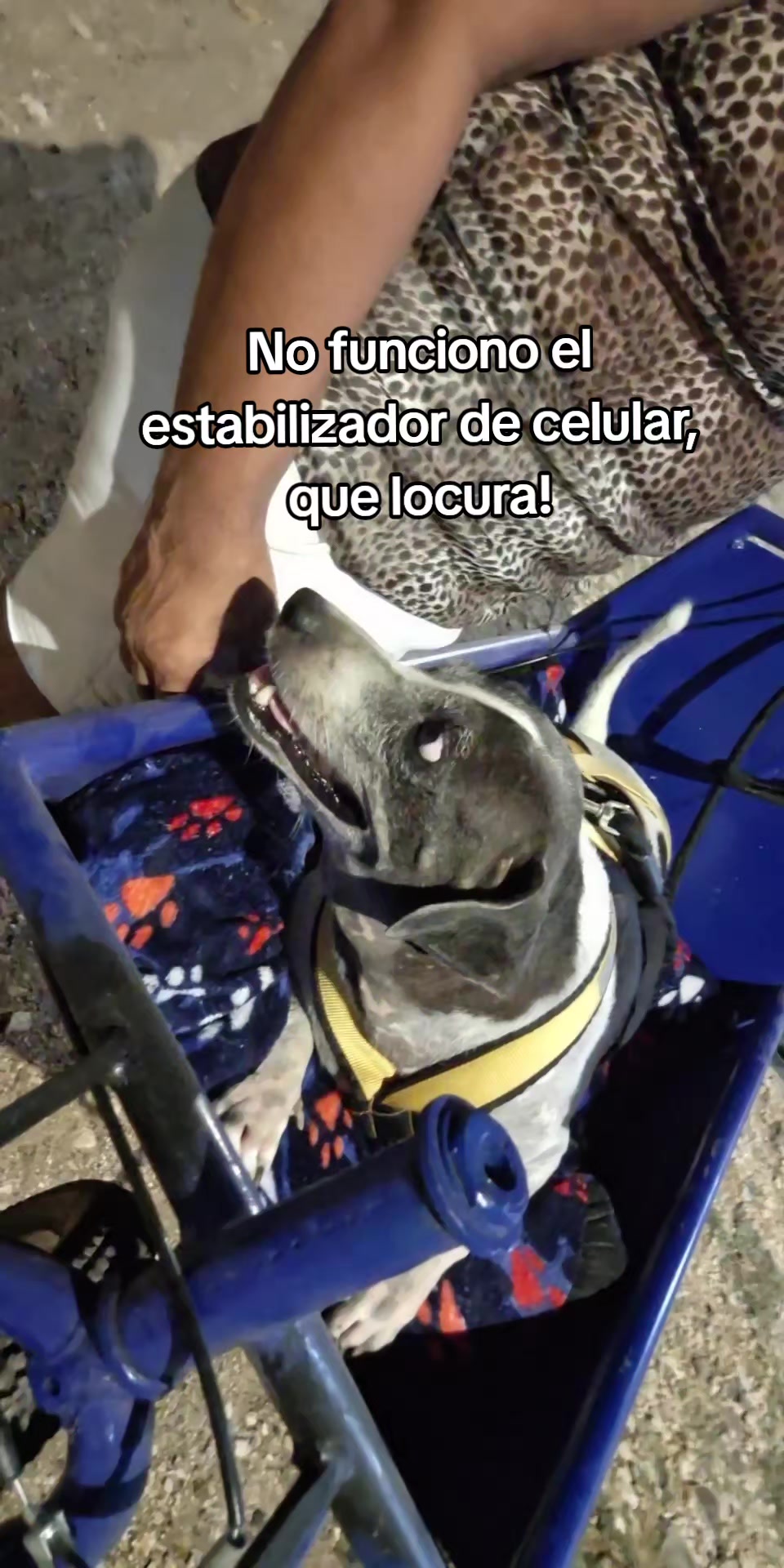 @MANCHAS 0714 OFICIAL
