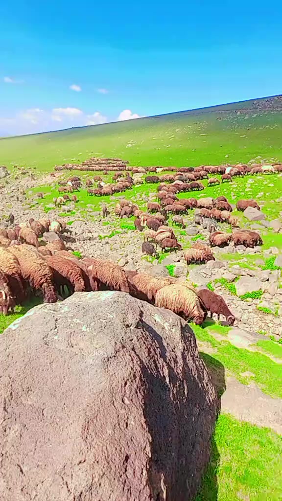 @🦅Koçero 🦅7676