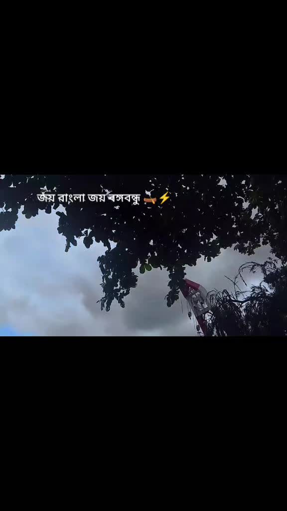 @বরিশাল ছাত্রলীগ