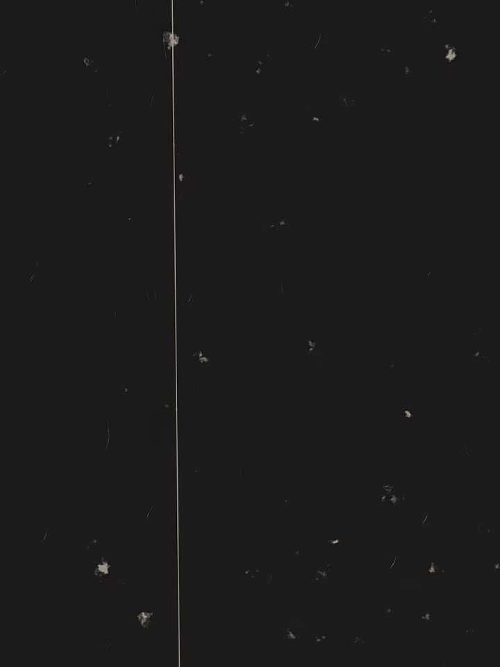 @🚫 𝐋𝐀𝐇𝐎𝐑𝐈-𝐐𝐔𝐄𝐄𝐍 🚫