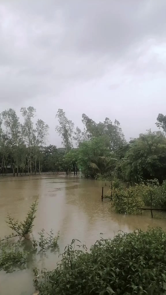 @বাঁশখালী ছেলে ফরহাদ