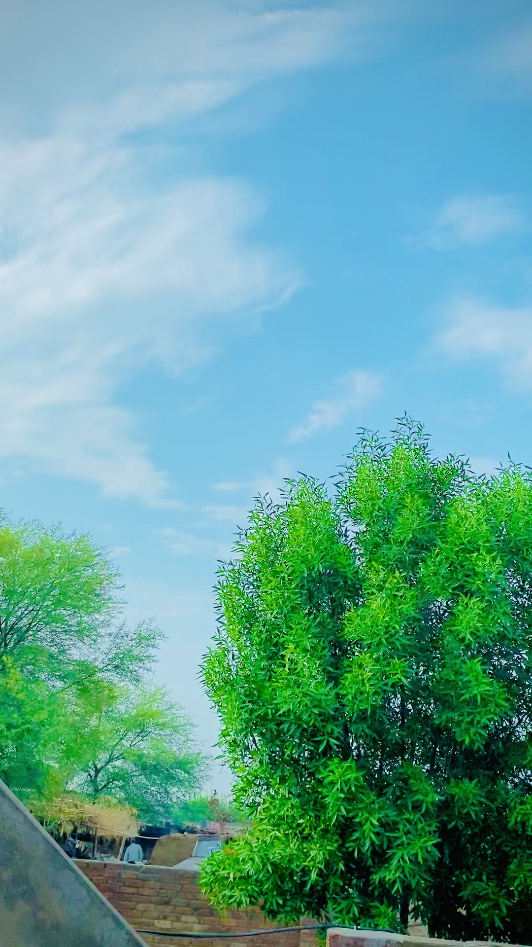 @꧁❀ 𝘔 𝘴𝘢𝘳𝘧𝘳𝘢𝘻 41 ❀꧂