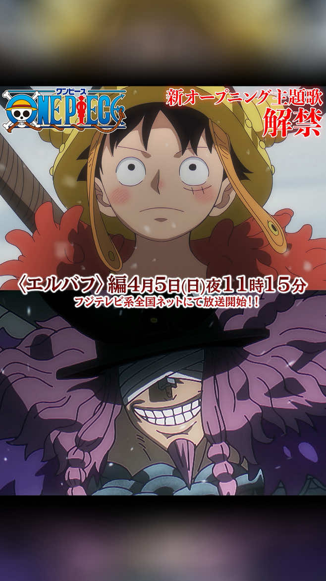 @ONE PIECE official