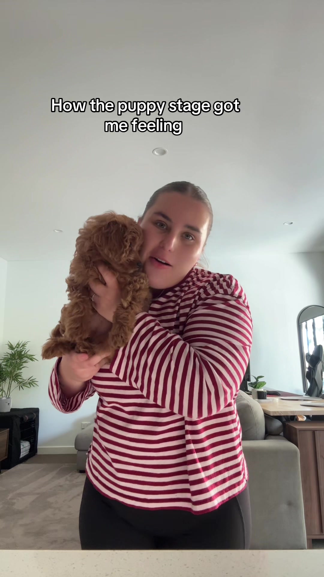 @Amber
