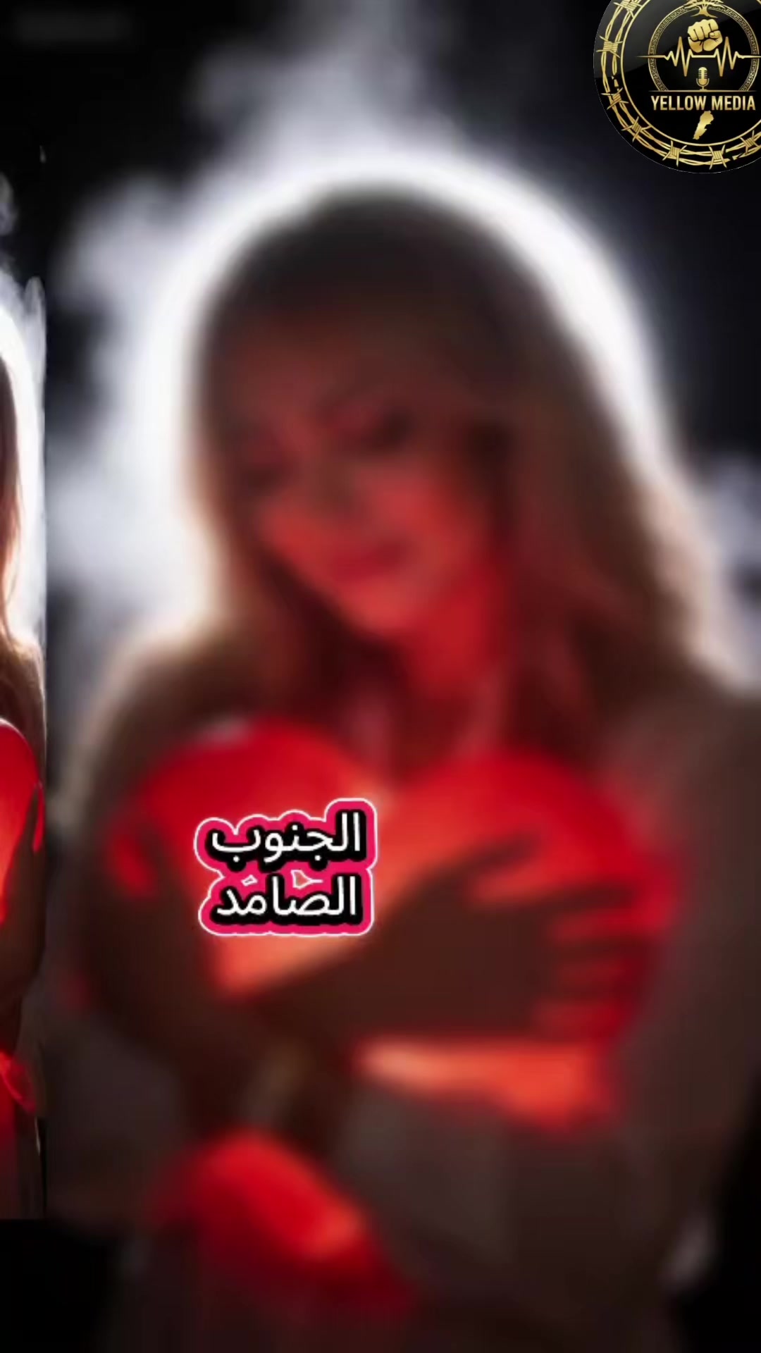 @shiraz dami asfar313
