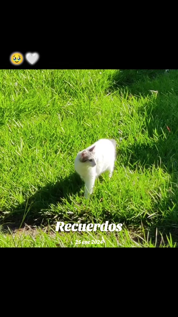 @Menji💚🪖