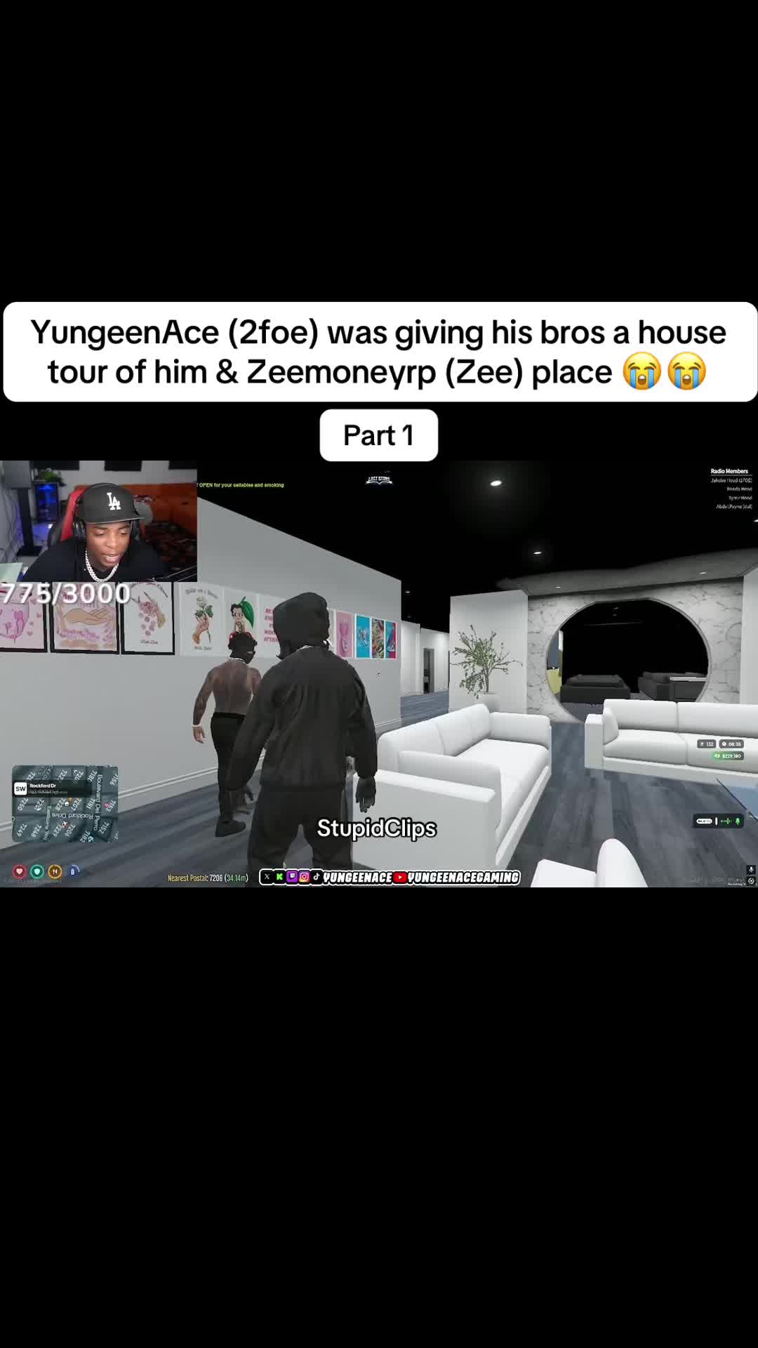 @Stupidclips