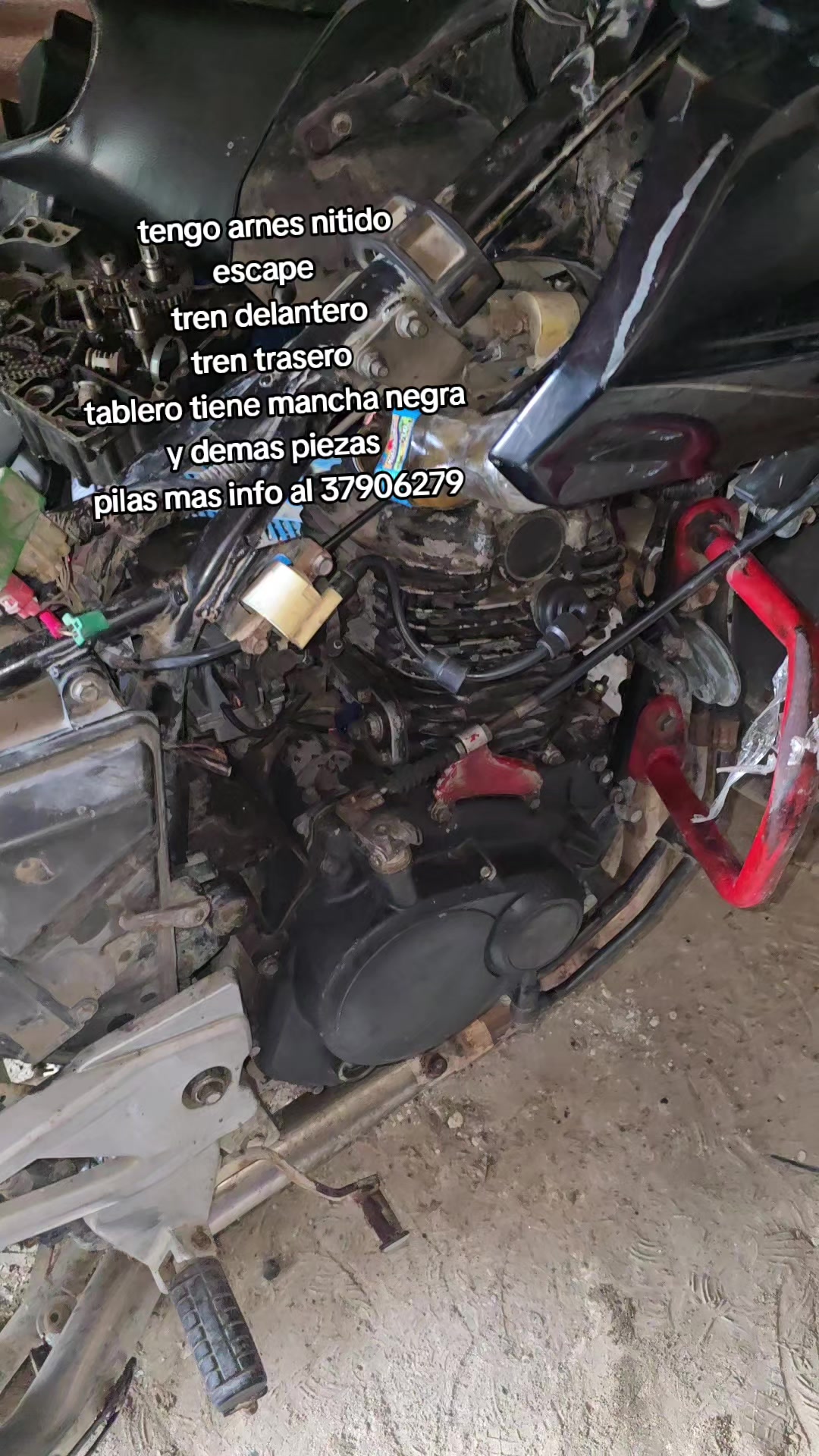 @โญ๐ฏ๐ฆ๐ฐ๐ฑ๐ฆ๐๐ซโญ๐๐๐น๐๐