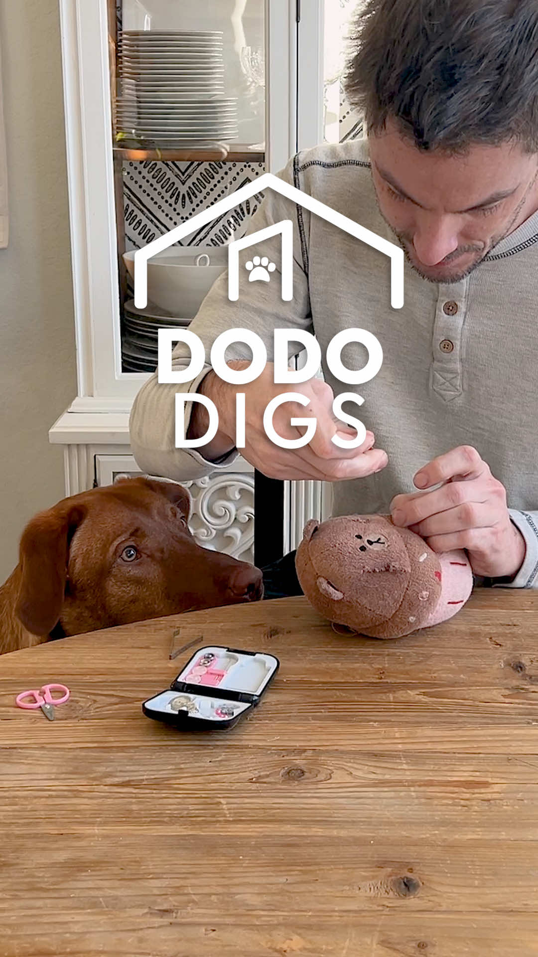 @The Dodo